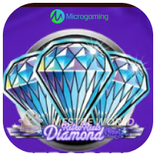 Microgaming231